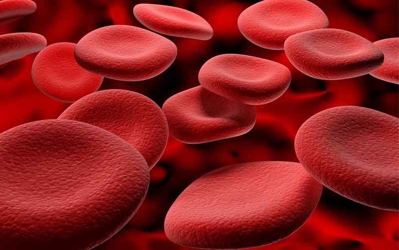 Blood builder
